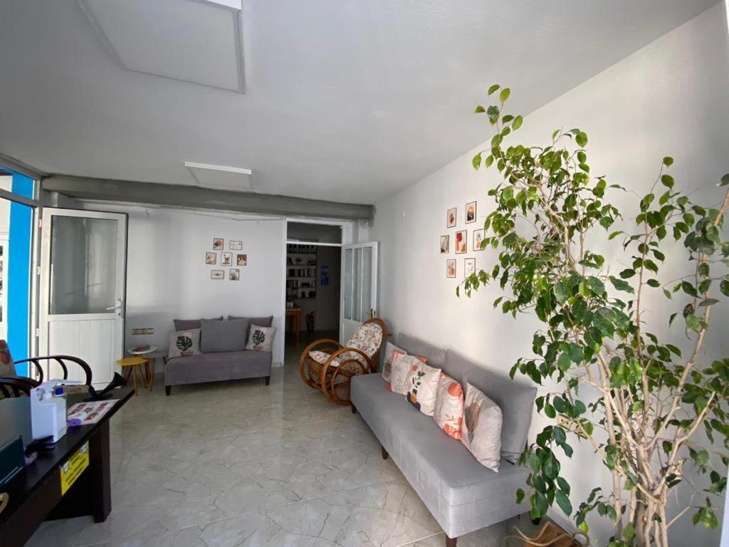 Nese Hotel Çeşme المظهر الخارجي الصورة